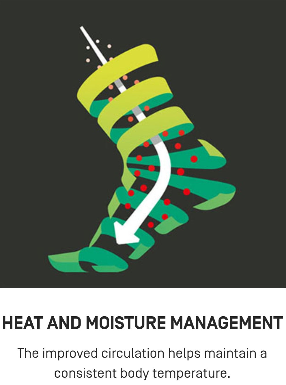 CEP Run Compression Calf Sleeves Men's - Olive